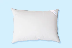 Naravni vzglavnik iz gosjega puha in perja | Spanko.si