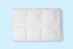 Gosja odeja 200×200 cm Gosja odeja iz puha 200x200 cm – naravna odeja Spanko.si